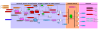 30873_1724142030_Screenshot from 2024-08-20 17-17-24.png
